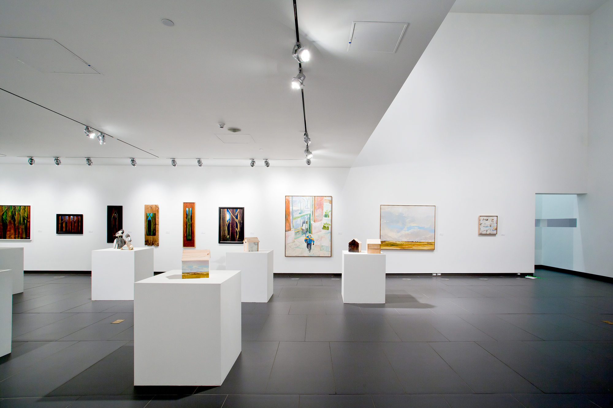 Art Gallery of Grande Prairie, Montrose Cultural Centre, Grand Opening