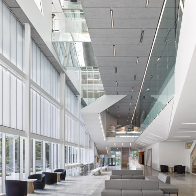 The multi-storey main atrium houses a new one-stop-shop student services centre and offers dramatic views both to campus exterior spaces and of various learning and study spaces. Photo by Andrew Latreille.