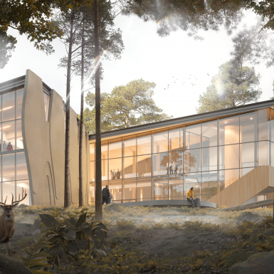 TEEPLE ARCHITECTS_UVIC NCIL_FOREST ETHEREAL